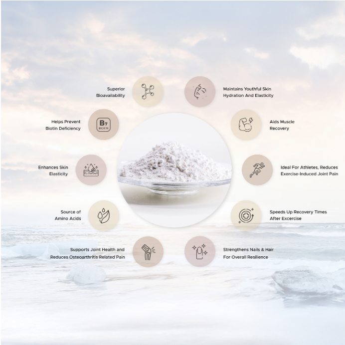 Arctic Vita Collagen - Vanilla 4 Arctic Vita Collagen - Vanilla - Image 4